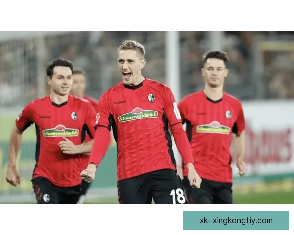 德甲焦点战霍芬海姆迎战弗赖堡